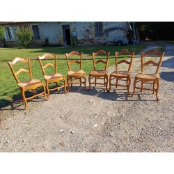 6 Chaises Paillées Anciennes en Fruitier